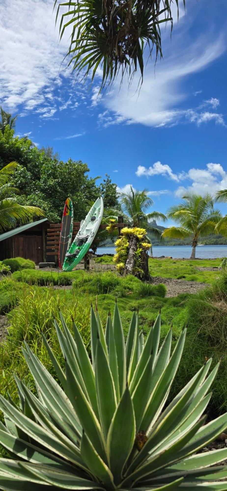 Huahine Manta Lodge Avec 4X4 Optionnel Haapu Экстерьер фото